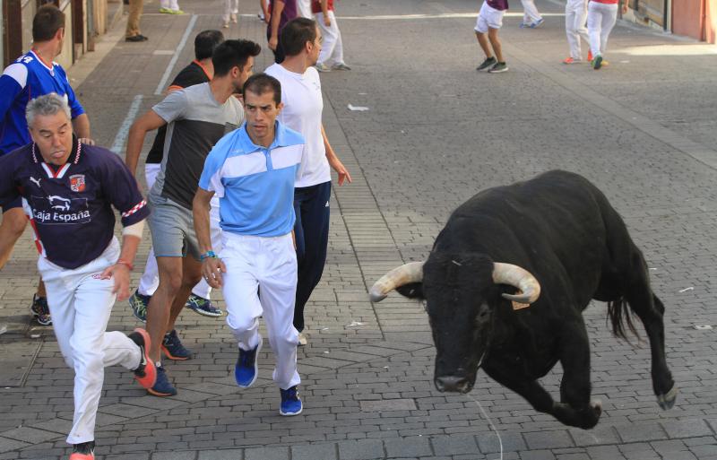 Primer encierro en Cuellar (Segovia)