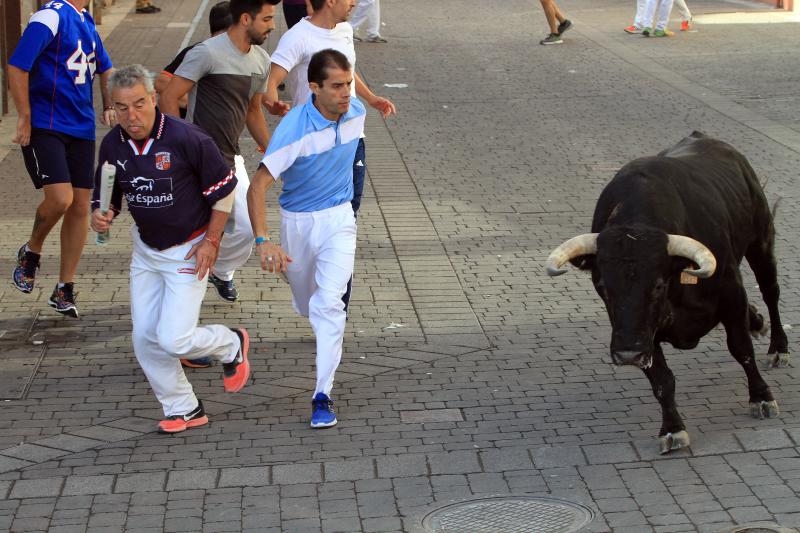 Primer encierro en Cuellar (Segovia)