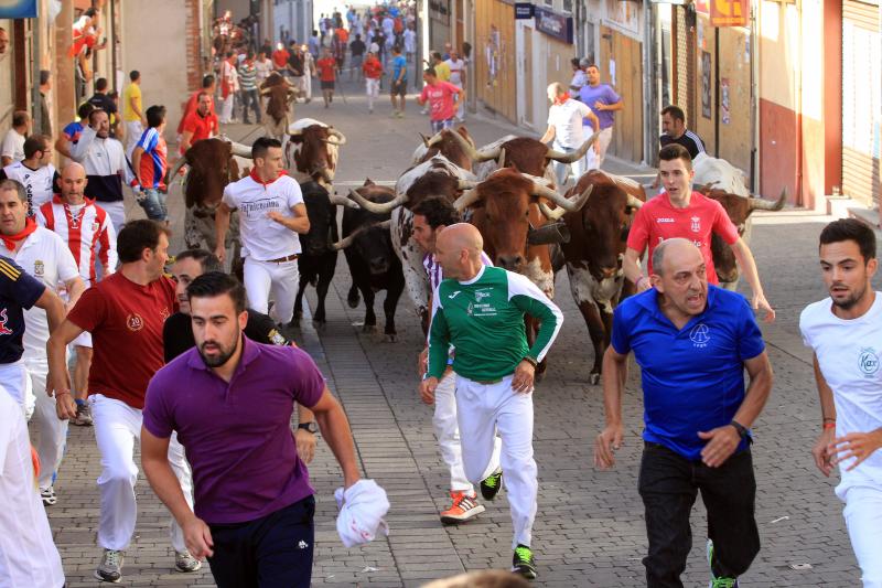Primer encierro en Cuellar (Segovia)