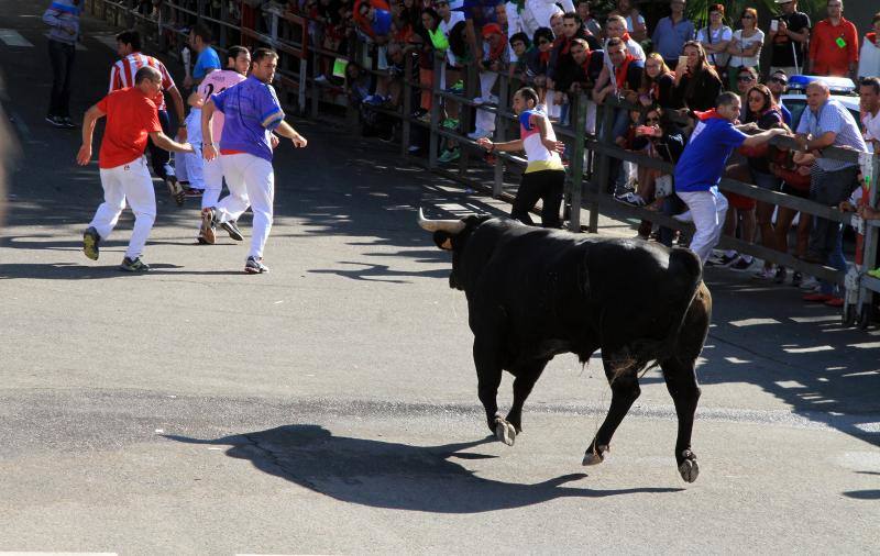 Segundo encierro en las fiestas de Cuellar