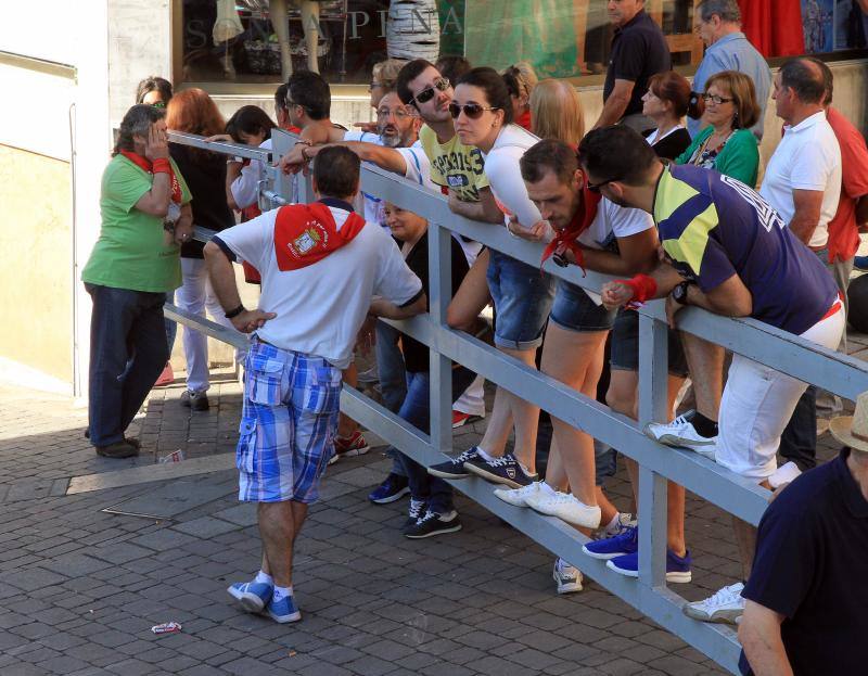 Segundo encierro en las fiestas de Cuellar
