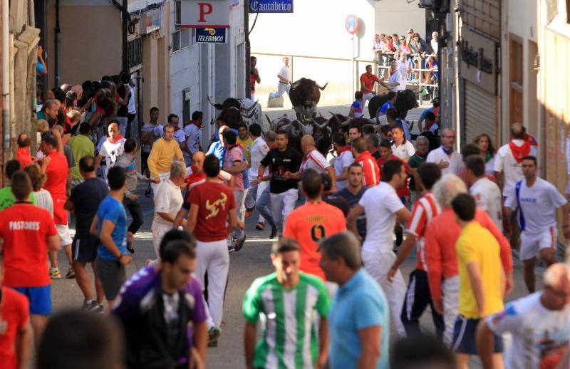 Segundo encierro en las fiestas de Cuellar