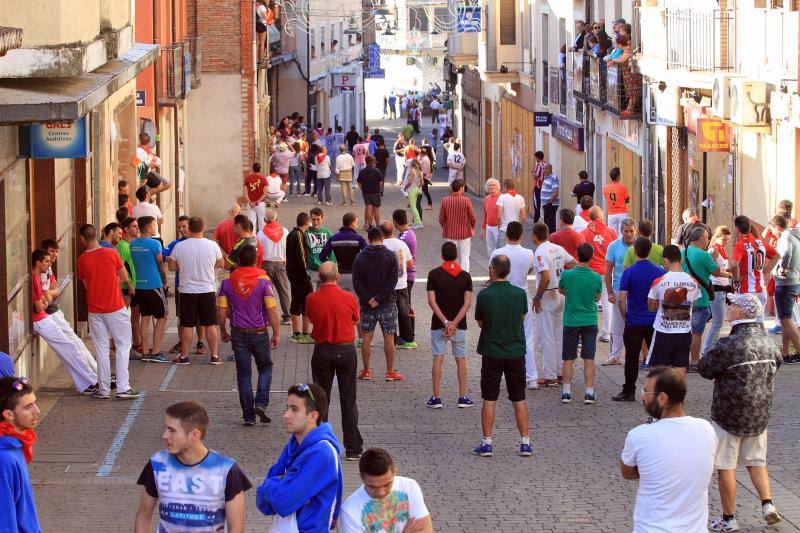 Segundo encierro en las fiestas de Cuellar