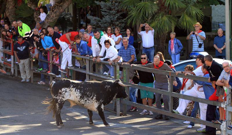 Tercer encierro en las fiestas de la Virgen del Rosario en Cuéllar
