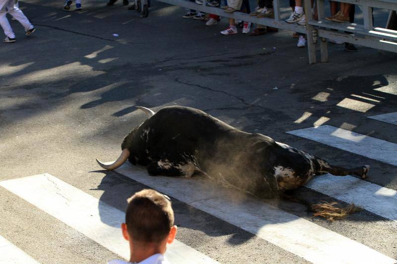 Tercer encierro en las fiestas de la Virgen del Rosario en Cuéllar