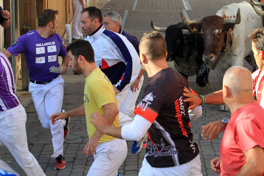 Cuarto encierro en las fiestas de Cuéllar