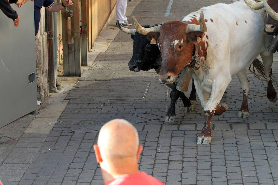 Cuarto encierro en las fiestas de Cuéllar