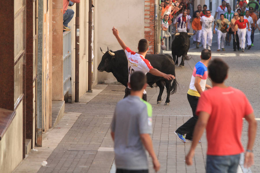Cuarto encierro en las fiestas de Cuéllar