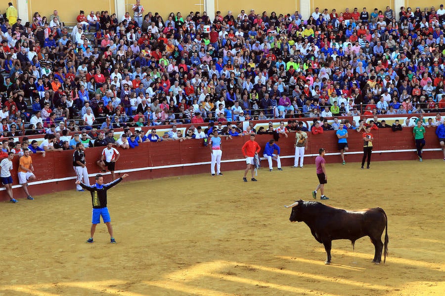 Cuarto encierro en las fiestas de Cuéllar