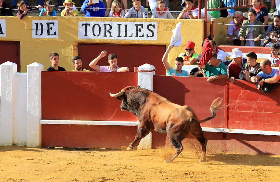 Cuarto encierro en las fiestas de Cuéllar