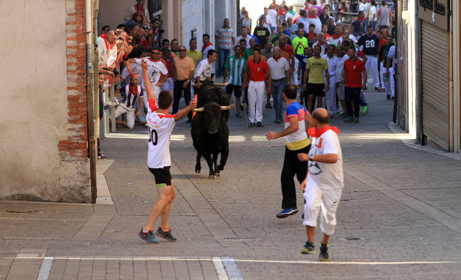 Cuarto encierro en las fiestas de Cuéllar