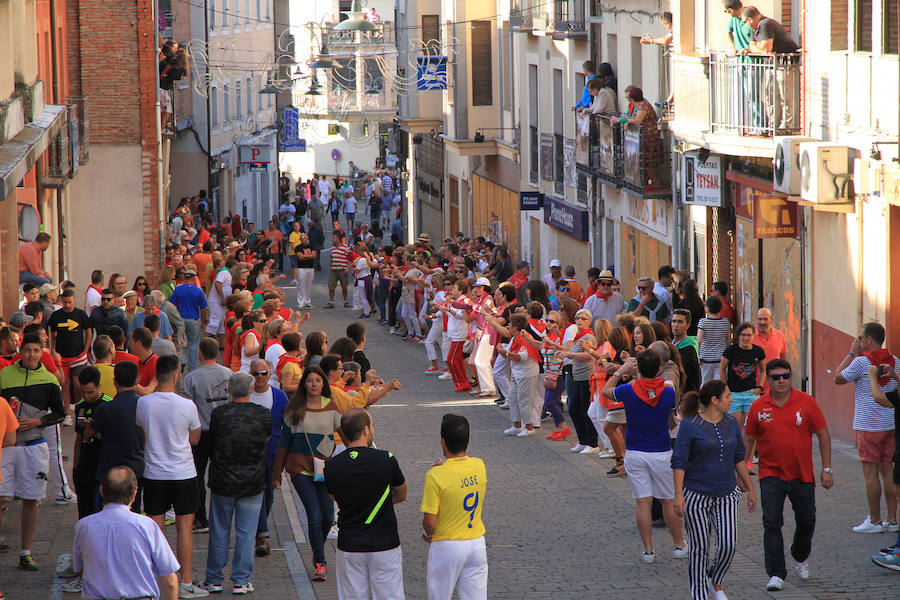 Cuarto encierro en las fiestas de Cuéllar