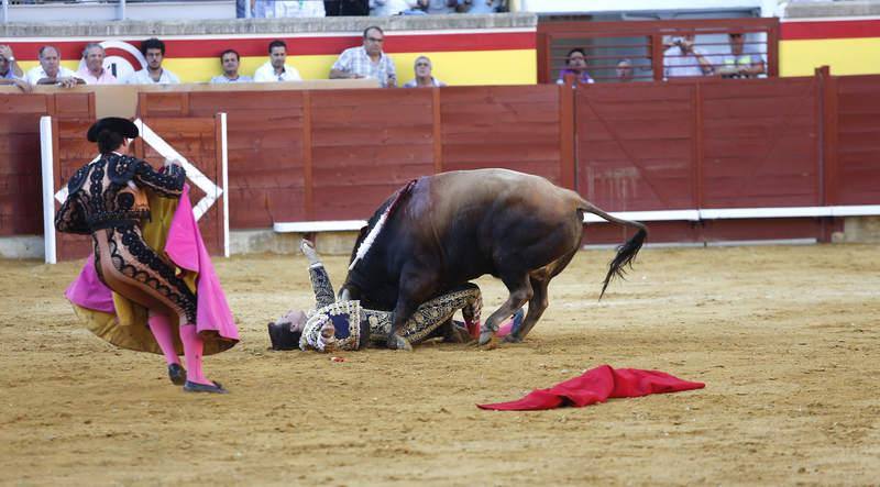 Cogida a Roca Rey en Palencia