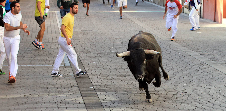 Quinto encierro en las fiestas de Cuéllar