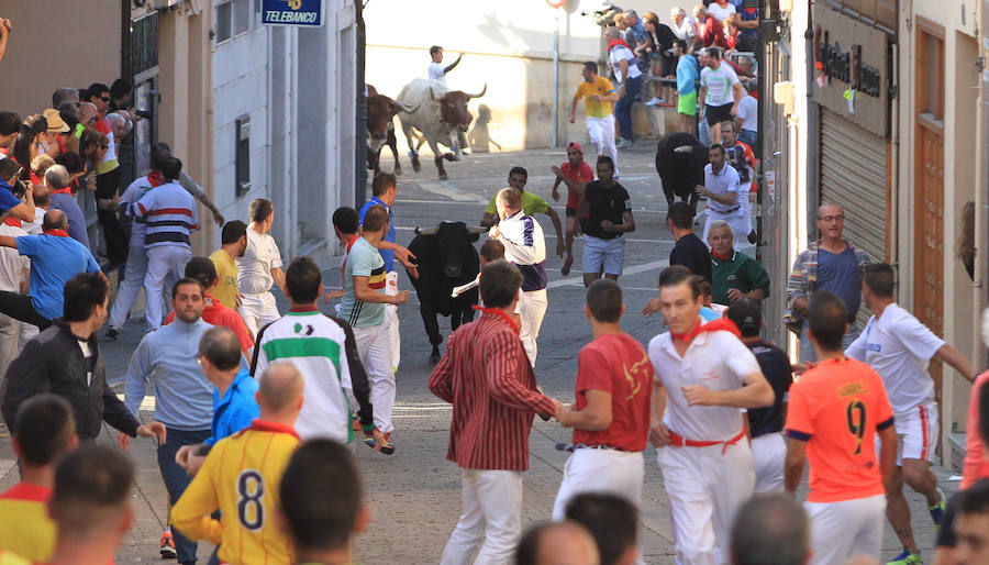 Quinto encierro en las fiestas de Cuéllar