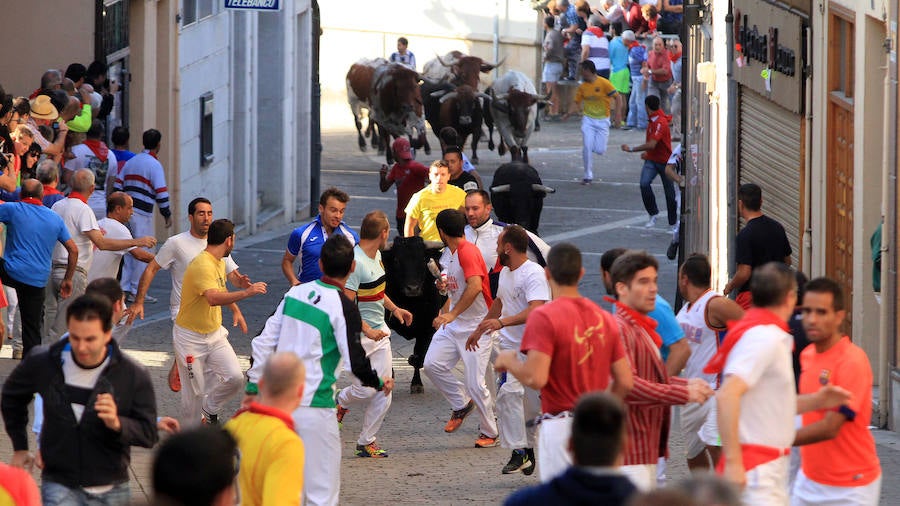 Quinto encierro en las fiestas de Cuéllar