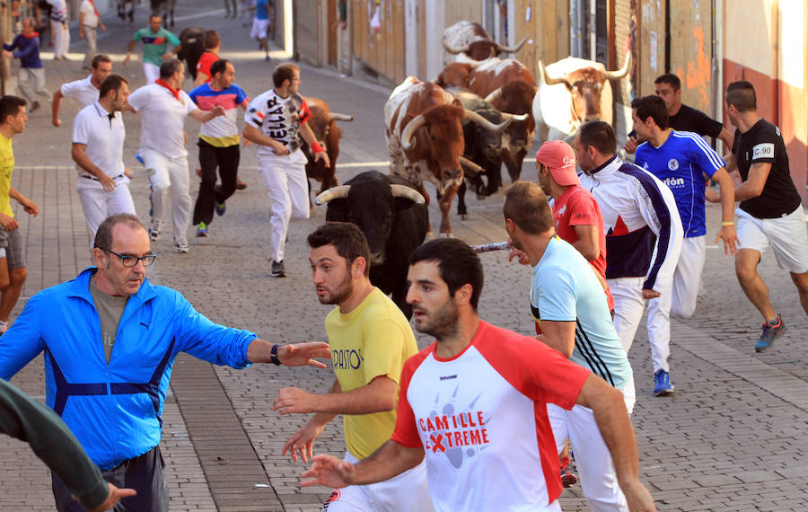 Quinto encierro en las fiestas de Cuéllar