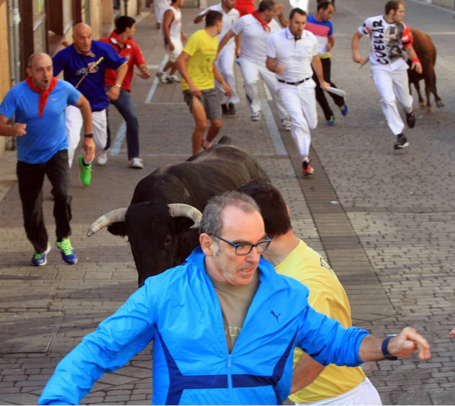 Quinto encierro en las fiestas de Cuéllar