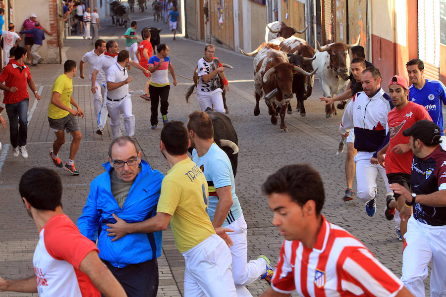 Quinto encierro en las fiestas de Cuéllar