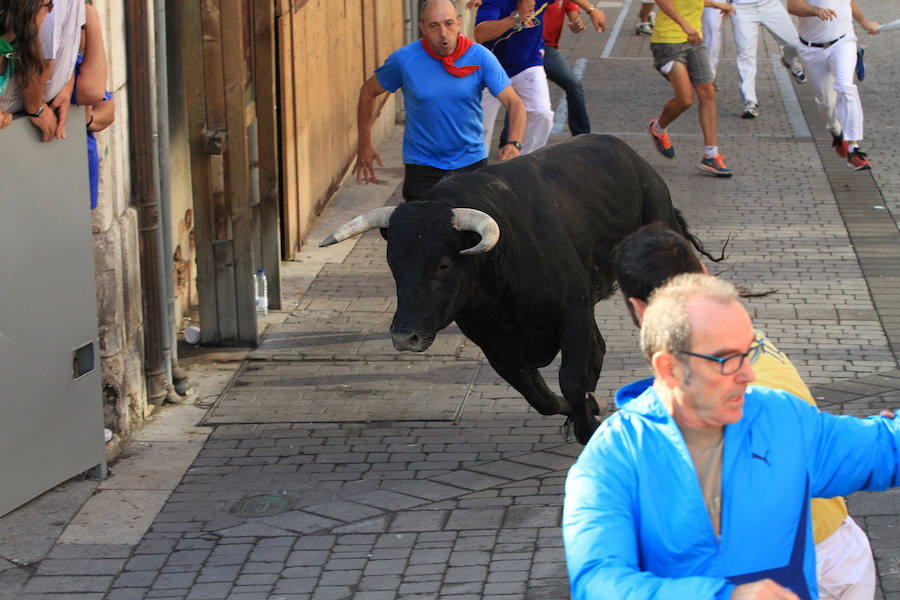 Quinto encierro en las fiestas de Cuéllar