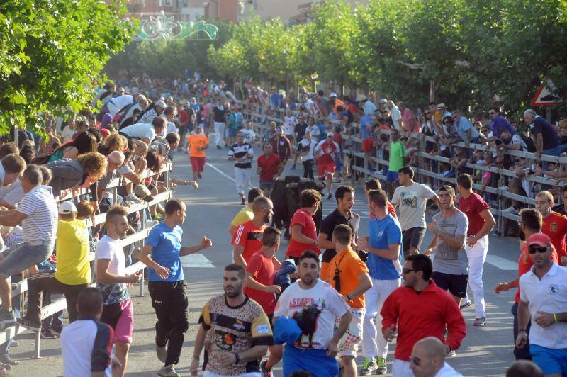 Primer encierro en las Fiestas de San Antolín en Medina del Campo