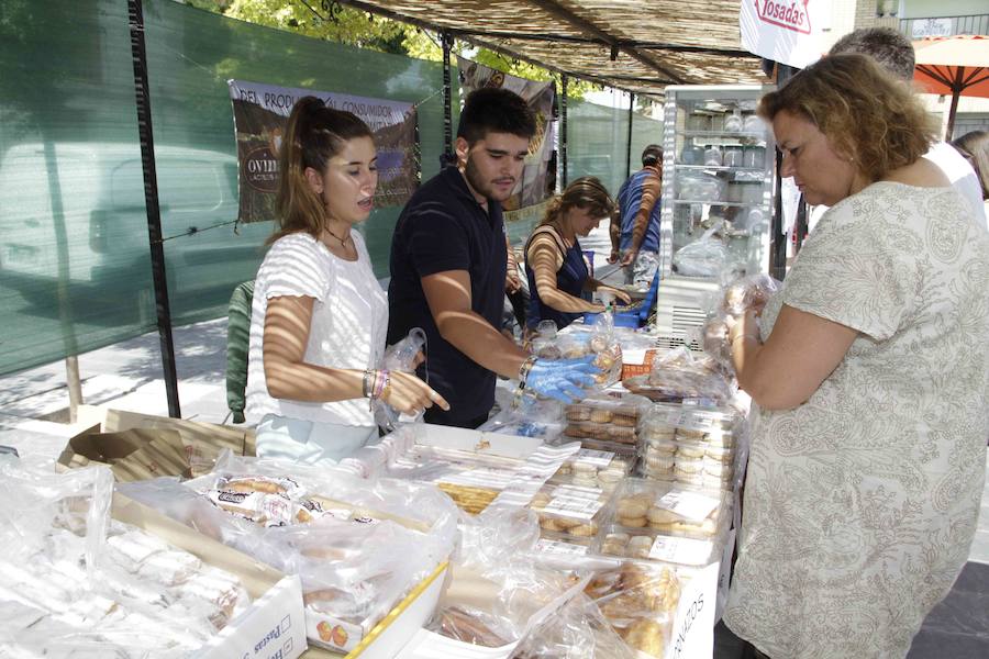 Feria del queso en Sardón