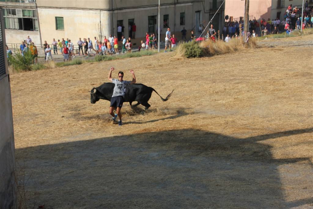 Primer encierro por el campo de las fiestas de Portillo