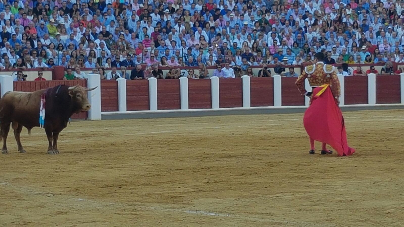 Corrida de Toros de José Tomás y José María Manzanares en Valladolid (1/2)