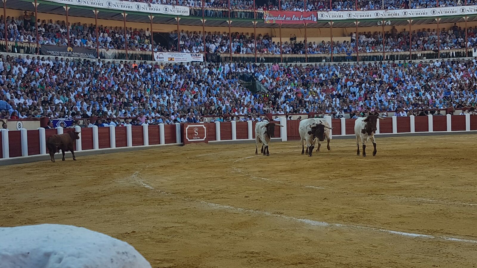 Corrida de Toros de José Tomás y José María Manzanares en Valladolid (1/2)