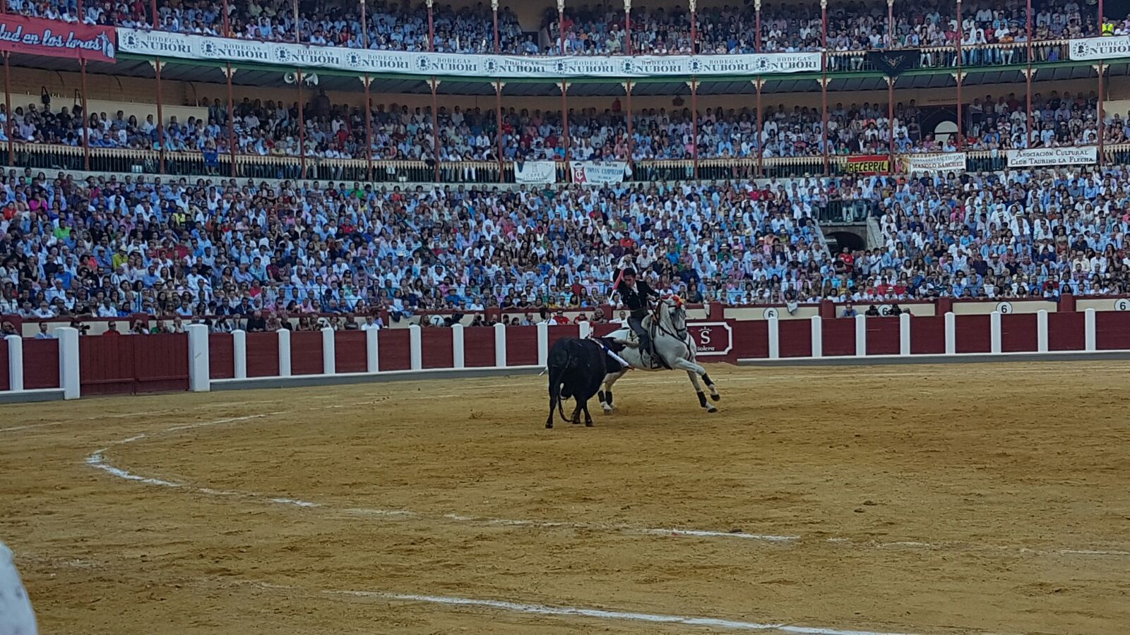 Corrida de Toros de José Tomás y José María Manzanares en Valladolid (1/2)