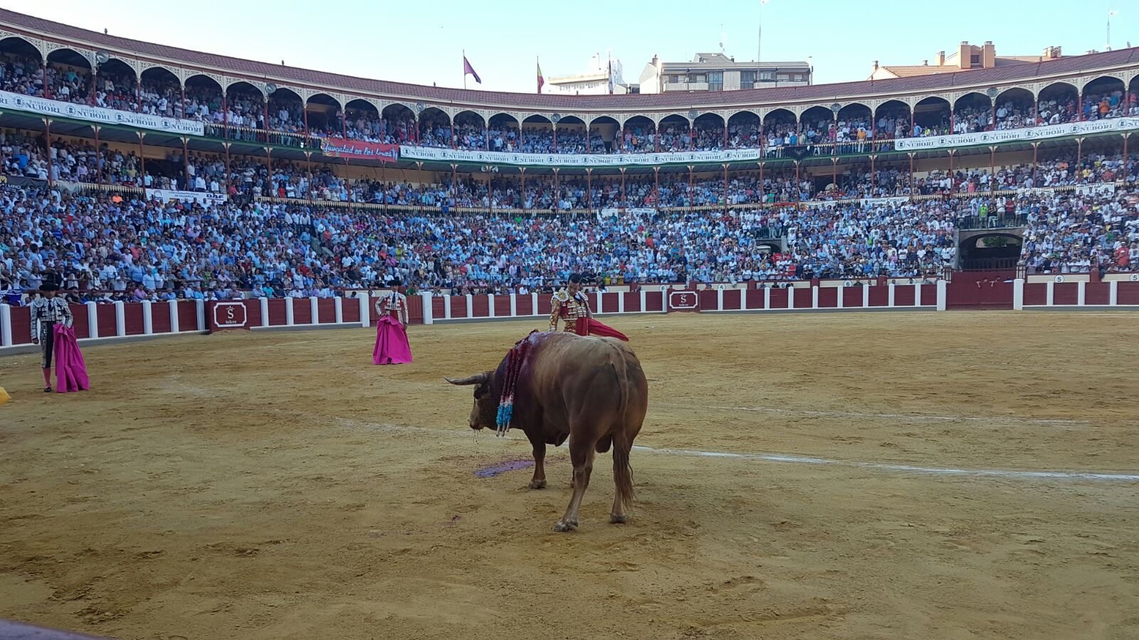 Corrida de Toros de José Tomás y José María Manzanares en Valladolid (1/2)