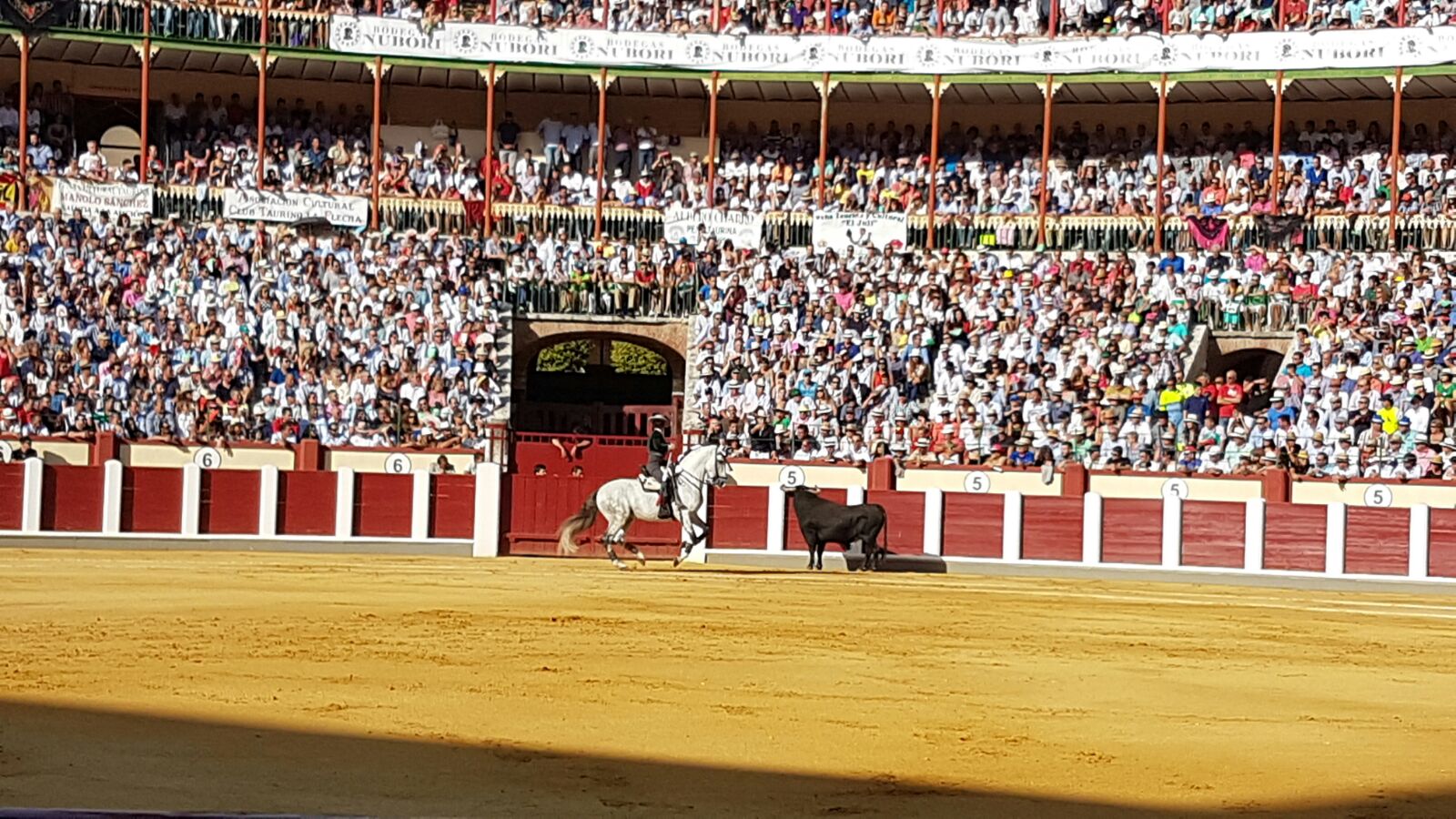 Corrida de Toros de José Tomás y José María Manzanares en Valladolid (1/2)