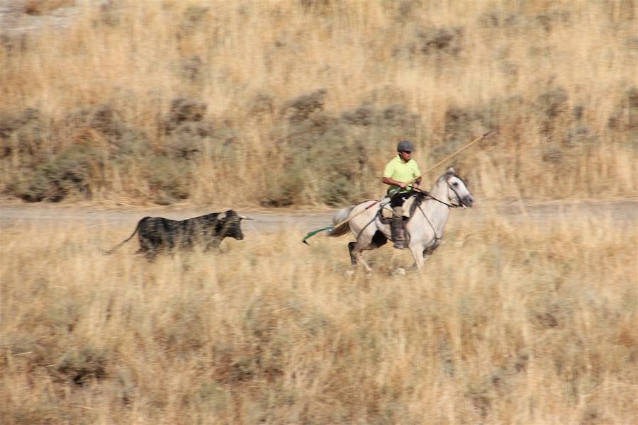 Encierro en Portillo