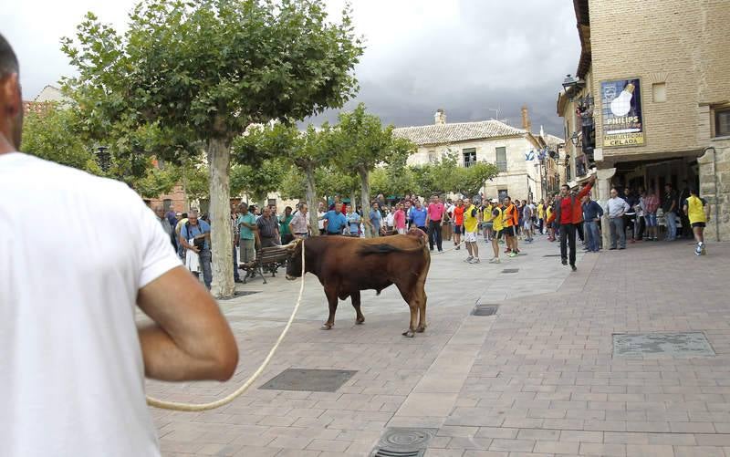 Astudillo celebra su tradicional &#039;toro enmaromado&#039;