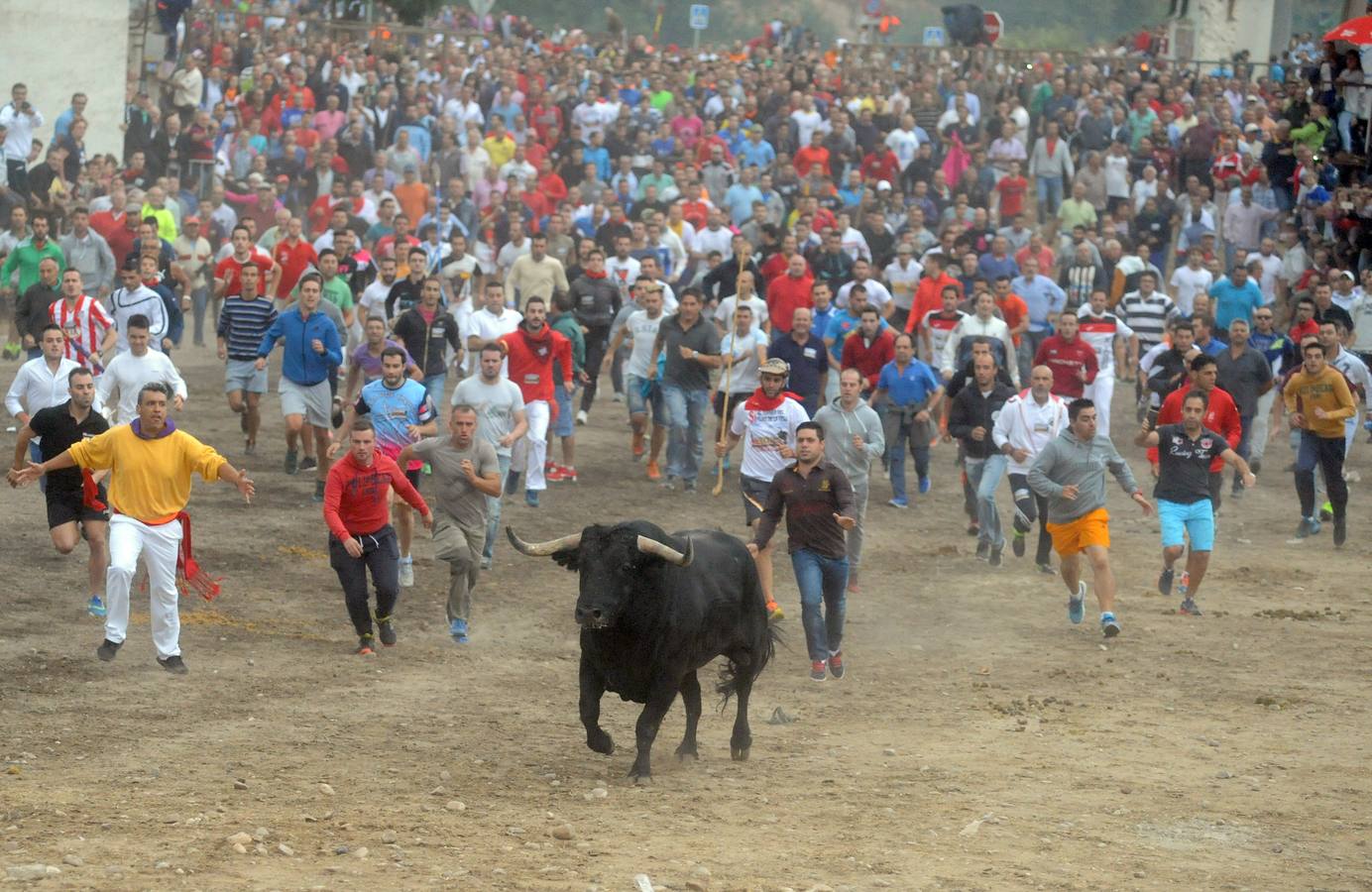 Tordesillas celebra su primer Toro de la Peña