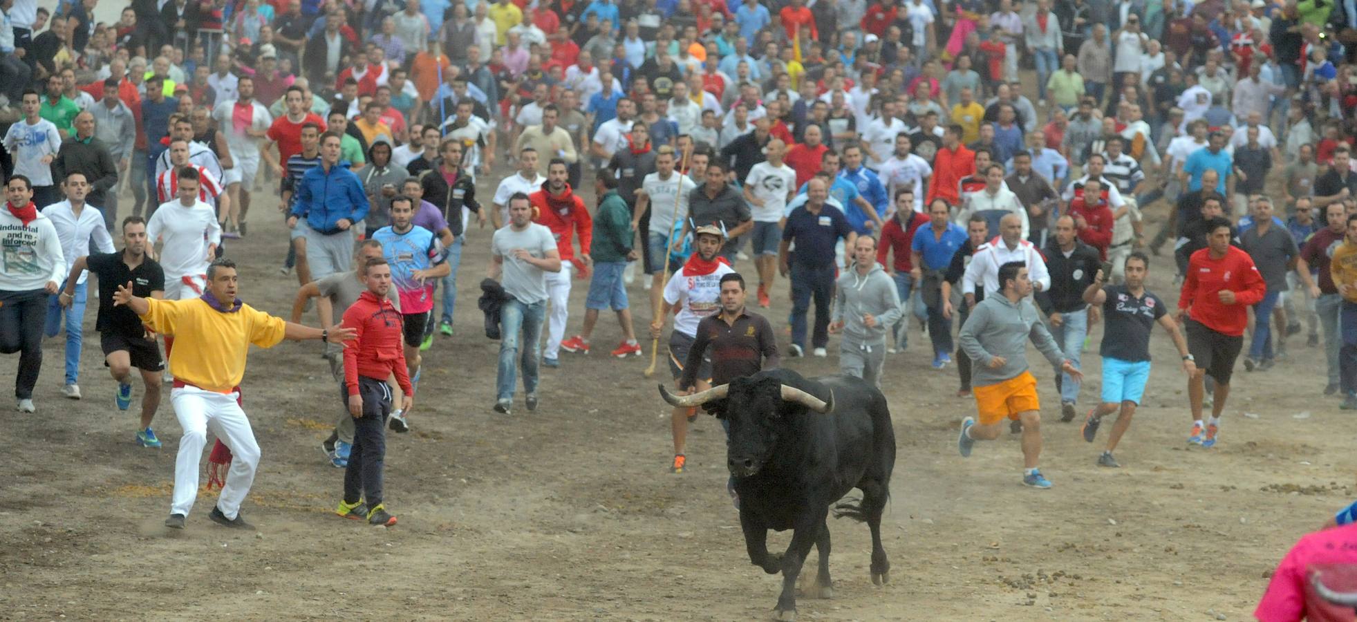 Tordesillas celebra su primer Toro de la Peña