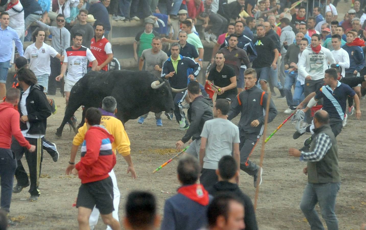 Tordesillas celebra su primer Toro de la Peña