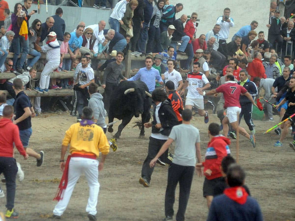 Tordesillas celebra su primer Toro de la Peña