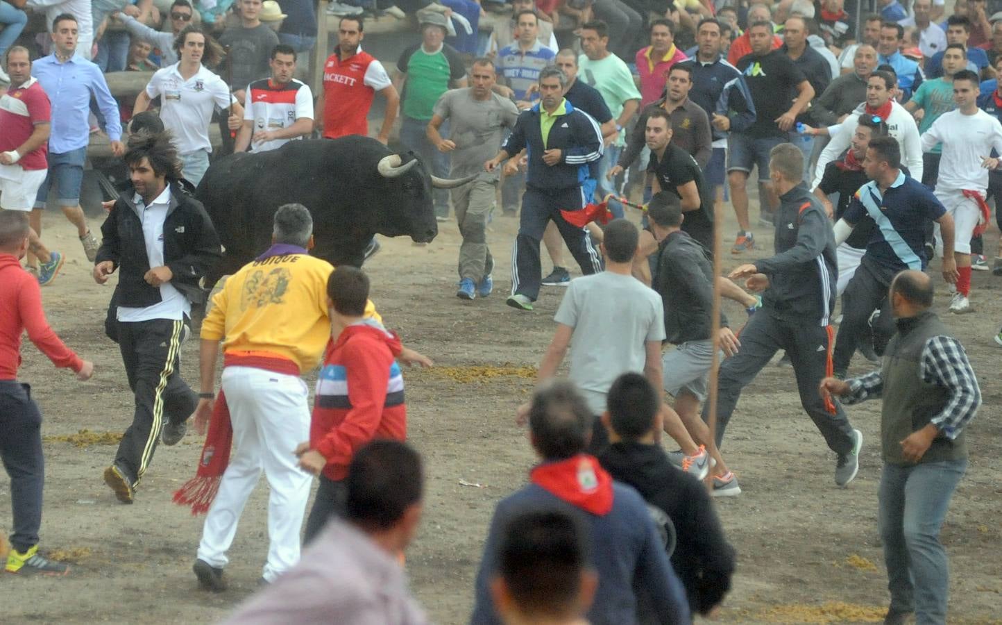 Tordesillas celebra su primer Toro de la Peña