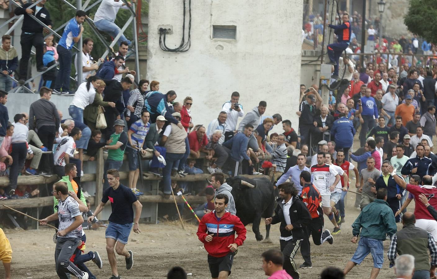 Tordesillas celebra su primer Toro de la Peña