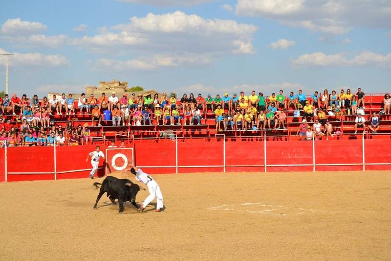 Fiestas en Astudillo (Palencia)