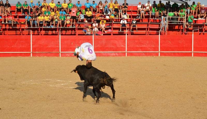 Fiestas en Astudillo (Palencia)