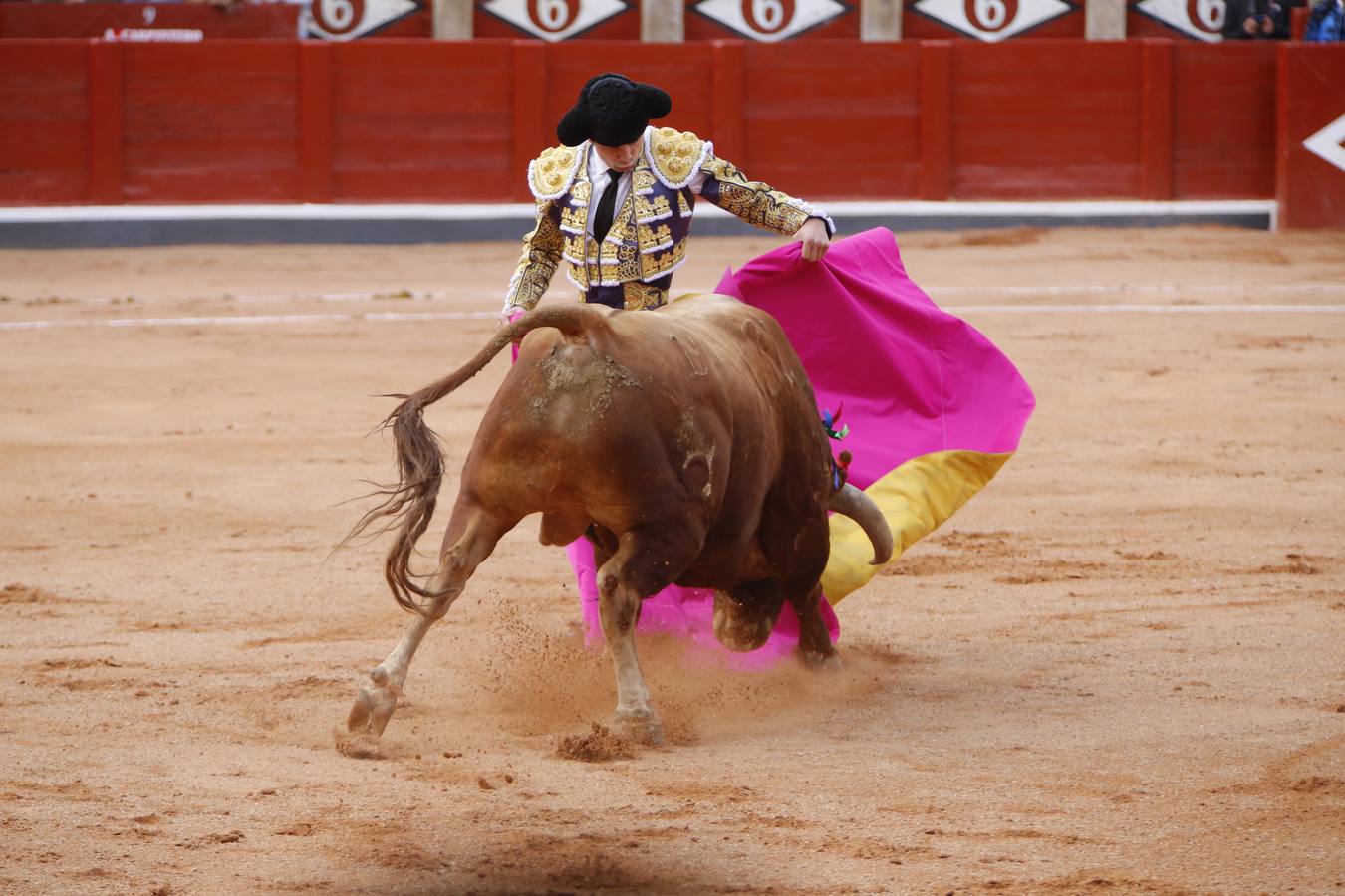 Morante de la Puebla, El Juli y Juan del Álamo, en la cuarta corrida de toros de la Feria de Salamanca