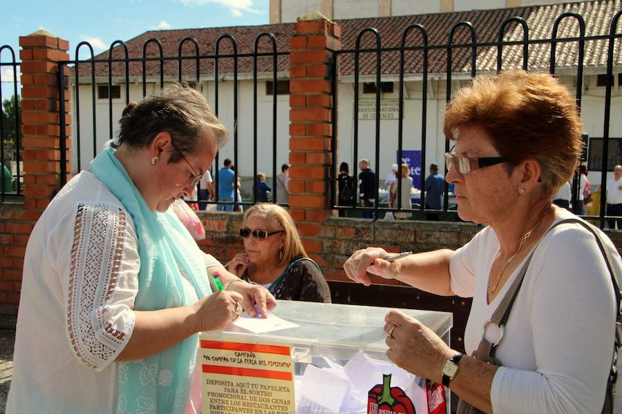 Feria del Pimiento de Torquemada (Palencia)