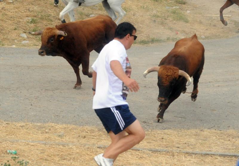 Encierro del viernes por la tarde en Olmedo
