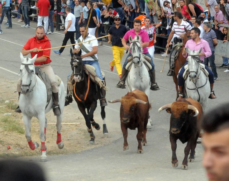 Encierro del viernes por la tarde en Olmedo