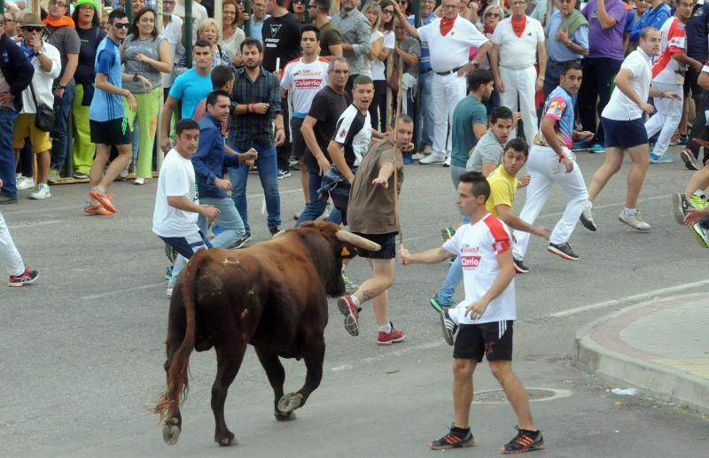 Encierro del viernes por la tarde en Olmedo