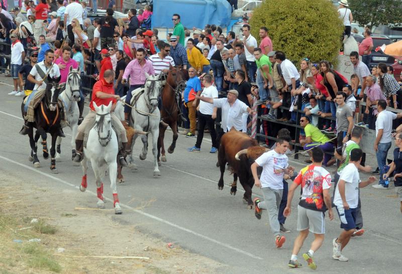 Encierro del viernes por la tarde en Olmedo