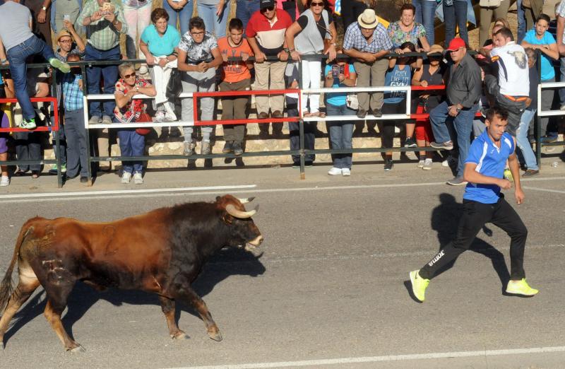 Encierro del sábado por la tarde en Olmedo