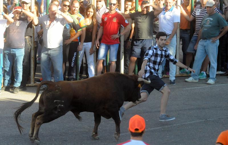 Encierro del sábado por la tarde en Olmedo